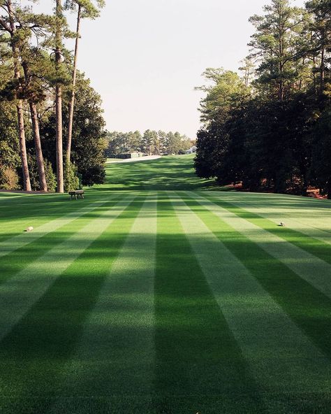 Golf Monthly on Instagram: “Old school Augusta National 😍⛳ #golf #golfer #golfing #golfstagram #golflife #golfcourse” Golf Scenery, Golf Course Aesthetic, Golf Field, Honma Golf, Augusta Golf, Golf Pictures, Golf Photography, Golf Inspiration, Golf Magazine