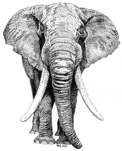 Pointalism Art, Stippling Drawing, Dotted Drawings, Stippling Art, Elephant Drawing, Pen Art Drawings, Elephant Art, Elephant Print, Stippling