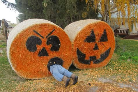 Halloween pumpkins from hay bales Hay Bales Decorations, Hay Bale Halloween, Halloween Hay Bales, Hay Bale Decorating Ideas, Decorated Hay Bales, Hay Bale Fall Decor, Hay Bale Fall, Hay Bale Decor, Painted Hay Bales