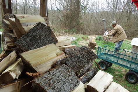 Where to put a wood chopping station Survival Preparedness, Wood Chopping, Fire Wood, Homesteading Skills, Repair Clothes, Wood Shed, Wild Edibles, Emergency Medicine, Homestead Survival