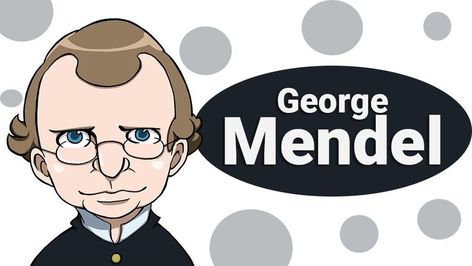 Conoce la biografía de George Mendel resumida y explicada especialmente para niños. Gregor Mendel, Fallout Vault, Austria, Vault Boy, Fictional Characters, Quick Saves