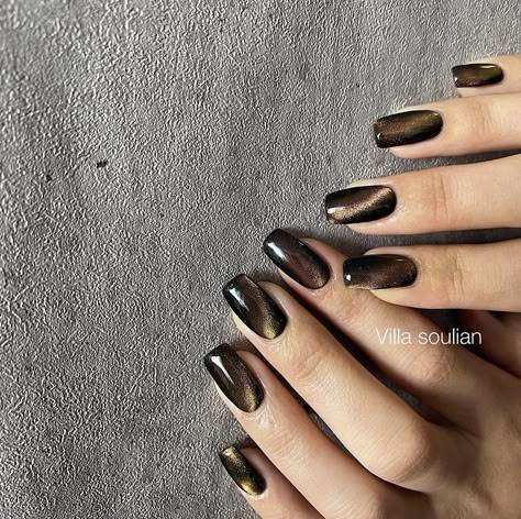 Brown Cateye Nail, Black Cateye Nails, Cat Eye Nails Black, Whimsigoth Nails, Med Nails, Metallic Nail Art, April Nails, Velvet Nails, Nail Vinyls