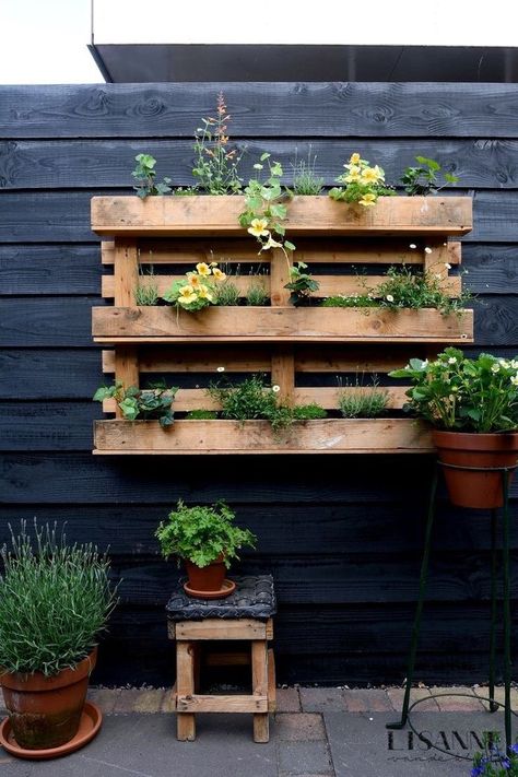 Pallet Art Wall: Hang painted or stained pallets on a garden wall and decorate with lights, small pots, or garden-themed art.
Garden Storage Rack: Turn pallets into an organized storage space for tools and garden essentials by adding hooks and shelves.
Tags
#PalletGarden #GardenFurniture #WoodenPalletIdeas #DIYGarden #UpcycledGarden #PalletProjects #OutdoorDecor #GardenDesign Vertical Garden Pallet, Diy Wood Pallet Garden Ideas, Pallet Tool Storage, Plants Pallet, Wood Projects Garden, Palette Planter, Pallet Garden Ideas, Pallet Garden Walls, Pallet Garden Benches