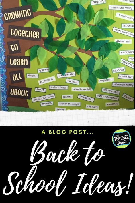 Growth Theme Ideas, Garden Theme Classroom Ideas, Bulletin Board Greenery, Classroom Theme Garden, Lets Grow Together Classroom, Growing Greatness School Theme, Watch Us Grow Classroom Theme, Garden Classroom Theme Decor, Ghibli Classroom