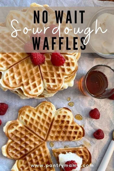 Waffle Discard Recipe, Waffle Sourdough Discard, Waffles Sour Dough Discard, No Wait Discard Recipes, Discard Sourdough Waffle Recipe, Sourdough Discard Waffles Healthy, Sourdough Waffle Recipe Discard, Sourdough Waffles Farmhouse On Boone, Sour Dough Discard Waffle Recipe