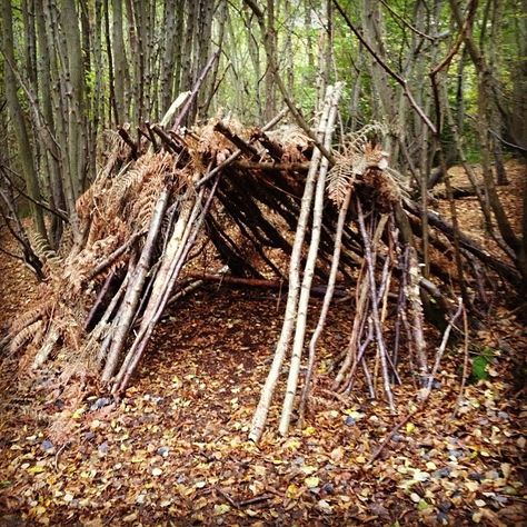 Backyard Fort Ideas, Outdoor Forts, Fort Ideas, Backyard Fort, Backyard Kids, Bushcraft Shelter, Forest School Activities, Kids Forts, Tree Fort