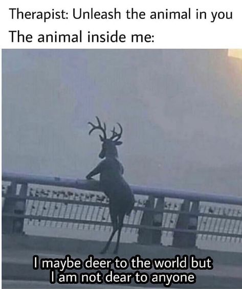 Deer Skeleton Aesthetic, Deer Meme, Deer Skeleton, Cursed Image, Funny Deer, Deer Photos, Deer Pictures, Reaction Memes, Southern Gothic