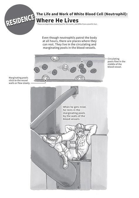 Cells At Work Code Black, Red Bone Marrow, U 1146, Osmosis Jones, 30 Day Art Challenge, Cells At Work, White Blood, White Blood Cells, Code Black