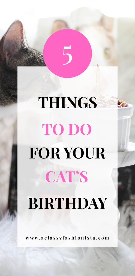 FIVE THINGS TO DO FOR YOUR CAT'S BIRTHDAY + CAT BIRTHDAY CUPCAKE | A Classy Fashionista | Cat Cupcake | Cat Cake | Cat Birthday | Pet Birthday | Cat Lover | #FortunaForAll #cbias | #ad How To Celebrate Your Cats Birthday, Birthday Cakes For Cats To Eat, Birthday Treat For Cat, Cat Birthday Treats, Cat Birthday Cake For Cats Recipe, Diy Cat Birthday, Birthday For Cat Pets, Homemade Cat Cake, Cat Safe Birthday Cake