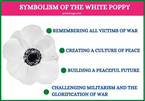 Poppy Flower Meaning, Poppy Symbolism, White Poppy Flower, Peace Building, Flower Symbol, Desktop Background Pictures, Explore Tattoo, The Hollywood Bowl, White Poppy