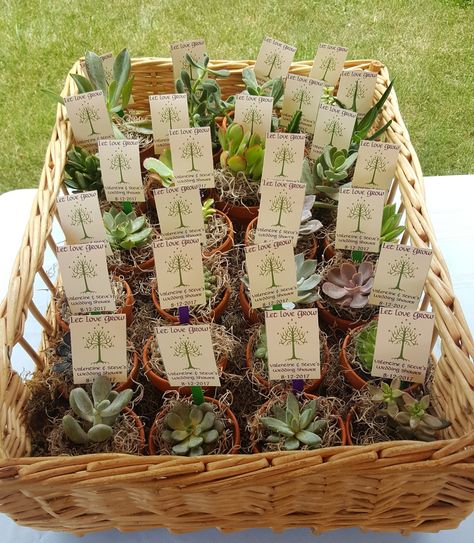 Lord of the Rings succulent wedding shower favors Forest Wedding Favor Ideas, Lots Of The Rings Wedding Theme, Wedding Ideas Lord Of The Rings, Medieval Wedding Favors, Fairy Woodsy Wedding, Earth Theme Wedding, The Shire Wedding Theme, Lotr Wedding Centerpieces, Bridal Shower Lord Of The Rings