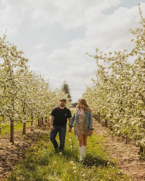 Ahhhhhhh apple trees and these two( and Blake’s of course) - I’m in loveeeeeeeee!! I can’t wait for their wedding! 🥺• • #taylormariephotography #detroitphotographer #michiganphotographer #metrodetroitphotographer #metrodetroitvideographer #videographer#weddingvideographermi #downtowndetroitphotographer Apple Orchard Couple Pictures, Apple Orchard Photoshoot Couple, Apple Picking Photoshoot Couple, Apple Orchard Engagement Photos, Apple Orchard Photoshoot, Apple Orchard Pictures, Apple Photo, Photoshoot Couple, Apple Trees