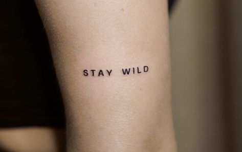 Wild Tattoo Word, Be Wild Tattoo, Stay Wild Tattoo, Feather Tat, Above Elbow Tattoo, Elbow Tattoo, Phrase Tattoos, Wild Tattoo, Elbow Tattoos