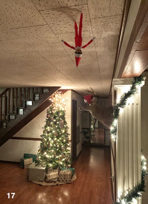 Elf walks on ceiling Elf On The Shelf Ceiling, Awesome Elf On The Shelf Ideas, Elf On The Shelf Ideas, Shelf Ideas, On The Shelf, Elf On The Shelf, Elf, Walking, Ceiling