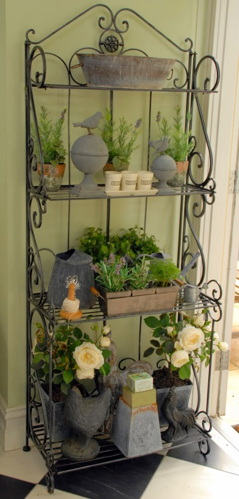 Plant Pot Display, Porch Shelf Ideas, Plant Display Outdoor, Bakers Rack Plant Stand, Outdoor Shelf Decor, Outdoor Bakers Rack, Wrought Iron Shelf, Wrought Iron Garden Furniture, Wrought Iron Plant Stands