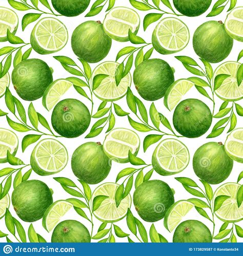 Lime Vector, Package Wrapping, Cards Decoration, Leaves Seamless Pattern, Summer Art Projects, Fruit Vector, Graphics Fairy, Fruit Illustration, Fruit Art