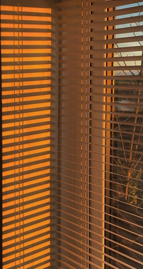 5pm Aesthetic, Golden Hour Aesthetic Room, Light Through Blinds, Golden Hour Aesthetic Wallpaper, Plain Background Aesthetic, Golden Hour Wallpaper, Aesthetic Sun, Golden Hour Photos, Sunset Vibes