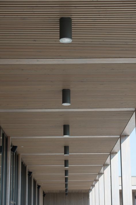 Acoustic Timber | Wood Slat Acoustic Panels | BCL Timber Projects Wood Slat Ceiling, Timber Projects, Interior Ceiling Design, Timber Slats, Timber Ceiling, Ceiling Design Modern, Ceiling Detail, Timber Panelling, Ceiling Treatments