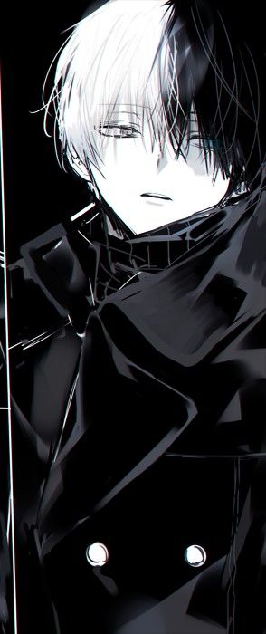 Villain Todoroki, Shouto Todoroki, Ruining My Life, Todoroki Shouto, White Hair, Boku No Hero Academia, Boku No Hero, My Hero Academia, Hero Academia