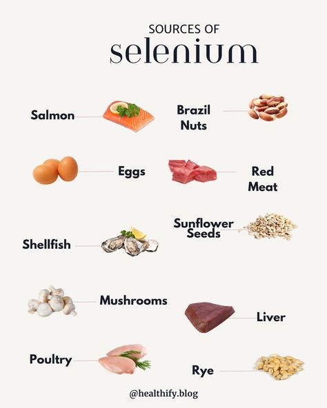 🌟 Selenium: The Unsung Hero of Gut Health! ⁣ ⁣ 💚 Did you know that selenium is a powerhouse mineral essential for maintaining a healthy gut? Selenium helps protect your digestive tract from oxidative stress, supports your immune system, and promotes the growth of beneficial gut bacteria. ⁣ ⁣ Incorporate selenium-rich foods like Brazil nuts, sunflower seeds, eggs, and salmon into your diet to enhance your gut health and overall well-being. Let’s give our gut the love it deserves!⁣ ⁣ Like and s... Foods With Selenium, Selenium Foods, Lysine Rich Foods, Eggs And Salmon, Nutrient Food, Selenium Benefits, Selenium Rich Foods, Herbal Health, Good Gut Bacteria