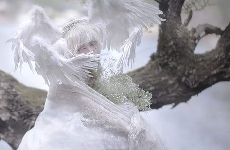 Albino Aesthetic, Angel Cosplay, Angelic Aesthetic, Male Angel, Angel Aesthetic, Fantasy Photography, Character Design Male, Art Poses, Pose Reference Photo