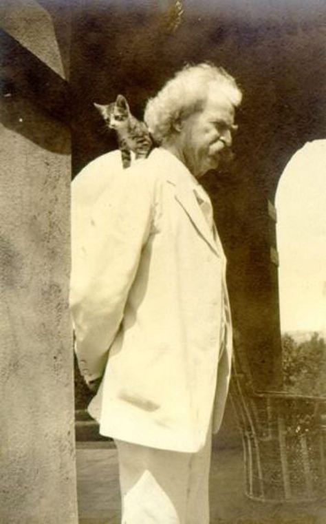 Mark Twain and his kitten. "Some people scorn a cat and think it not an essential; but the Clemens tribe are not of these." Daily Sketching, Katt Grejer, Ancient Alphabets, I Am His, Mark Twain Quotes, Vintage Versace, Cat People, Cat Quotes, Mark Twain