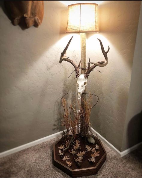 European Head Mount, Deer Skull Display, European Deer Mount Ideas Display, Cool Deer Mounts, European Deer Mount Ideas, Euro Mount Ideas, Skull Mount Ideas, Hunting Decor Living Room, Camp Equipment