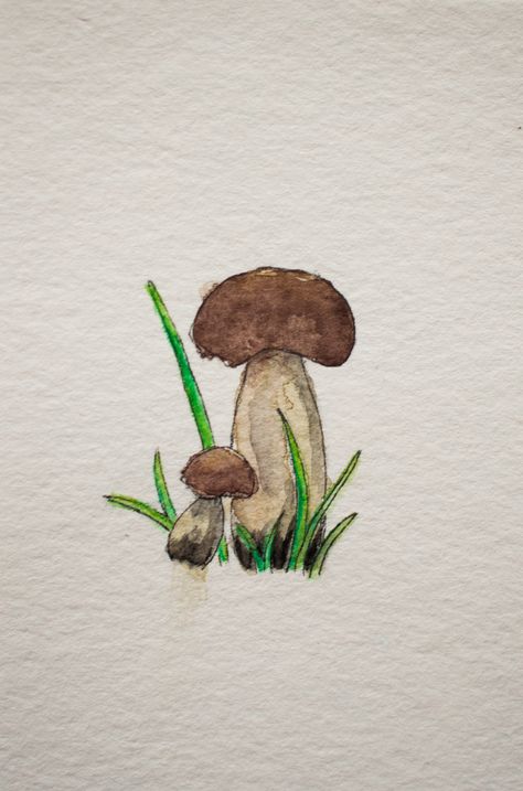 Watercolor Art Mushrooms Painting Ideas Mushrooms, Unif Bag, Mushrooms Drawing, Art Mushrooms, Mushroom Watercolor, Watercolor Mushroom, Mushroom Paint, Mushroom Drawing, Black Board