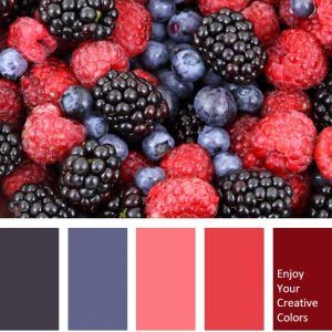 Food Colors Palette, Red Colour Palette, Color Schemes Colour Palettes, Color Magenta, Brand Color Palette, Design Seeds, Color Palette Design, Color Harmony, Creative Colour