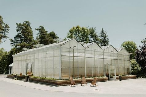 Ivy House Weddings & Events on Instagram: "The dreamiest ceremony spot 🌿 @joshrexford" Ivy House, House Weddings, Wedding Events, Ivy, Weddings, Instagram