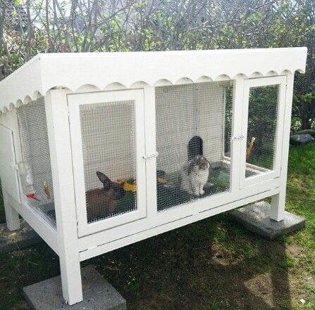 Simple Rabbit Hutch, Outside Bunny Enclosure, Bunny Hutch Diy Outdoor, Bunny Cages Outdoor, Diy Rabbit Hutch Outdoor, Large Rabbit Hutch Outdoor, Baby Rabbits Cute, Rabbit House Outdoor, Rabbit Cage Setup