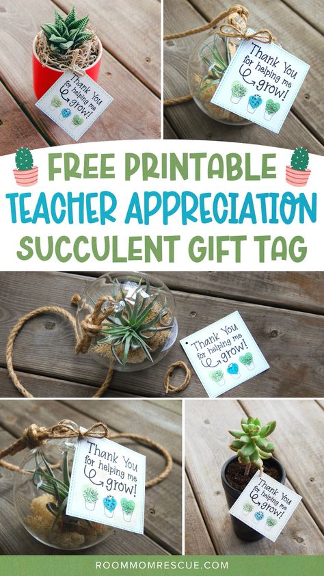 Teacher Appreciation Week Gifts Diy, Teacher Gift Diy, Free Teacher Appreciation Gifts, Free Teacher Appreciation Printables, Teacher Appreciation Gift Ideas, Unique Teacher Appreciation Gifts, Teacher Appreciation Diy, Appreciation Gift Ideas, Homemade Teacher Gifts