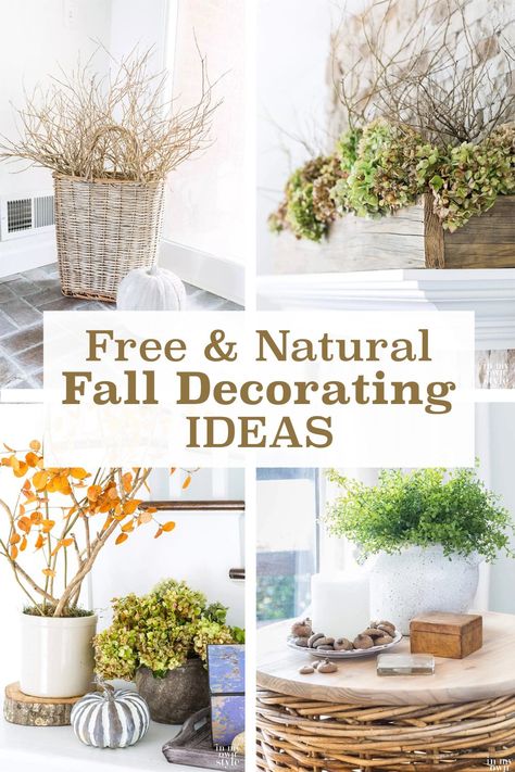 Fall Decor Using Nature, Nature Inspired Fall Decor, Quick Fall Decor, Homestead Fall Decor, Frugal Fall Decor, Using Nature To Decorate, Nature Fall Decor, Fall Decor Natural, Natural Fall Decorations