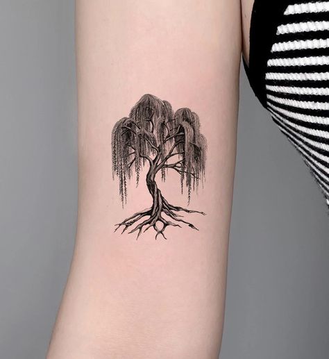 Weeping Tree Tattoo, Willow Tree Tattoo Aesthetic, Nature Tattoo Ideas For Men, Willow Tree Tattoo Designs, Weeping Willow Tree Tattoos, Grandmother Willow Tattoo, Tattoo Willow Tree, Willow Tree Design, Willow Tree Tattoo Men