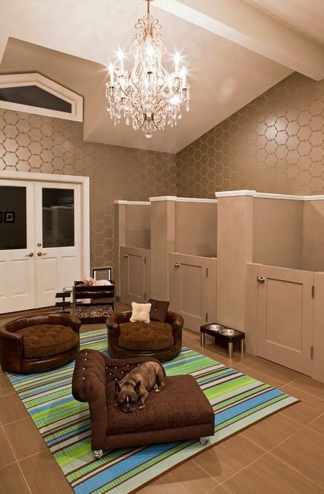 Dog Room Dog Bedroom Decor, Dog Room Design, Dog Room Decor, Dog Bedroom, Puppy Room, Dog Spaces, Dog Room, Dog House Diy, Animal Room