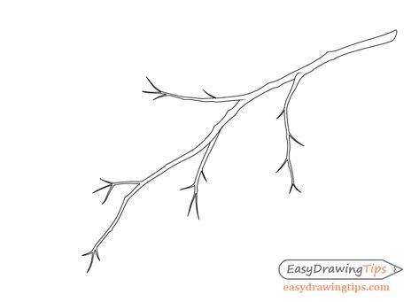 How To Draw A Tree Branch, Easy Branch Drawing, Tree Branch Drawing Simple, Branch Drawing Simple, How To Draw Tree Branches, Tree Branch Drawing, Tree Branch Doodle, Tree Branch Illustration, Tree Branch Outline