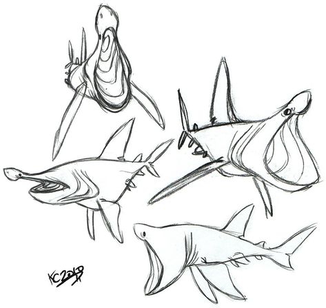 Basking Shark Art, Basking Shark Drawing, Basking Shark Tattoo, Tattoo Shark, Sea Creatures Drawing, Basking Shark, Shark Illustration, Shark Drawing, Cartoon Shark