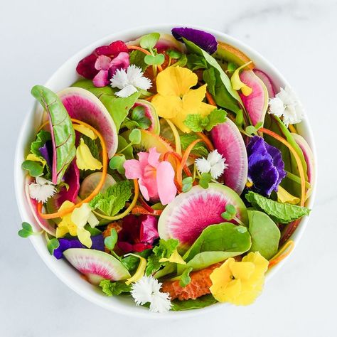 Candied Cranberries, Healthy Apps, Roast Pumpkin Soup, Orange Vinaigrette, Cilantro Pesto, Pumpkin Bowls, Rainbow Salad, Watermelon Radish, Beautiful Salad