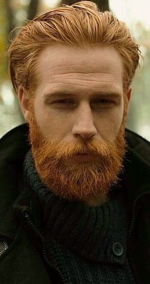 Ginger Man Aesthetic, Redhead Characters, Redhead Men, Ginger Men, Awesome Beards, Character Inspo, Male Art, Great Hair, Facial Hair