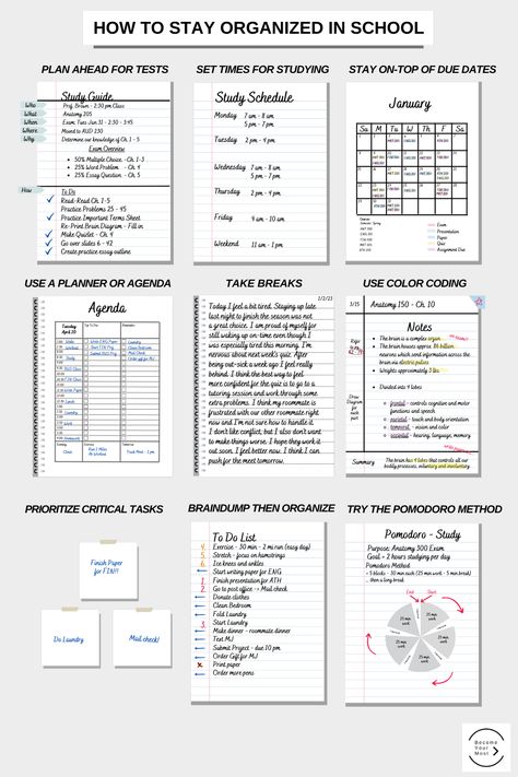 How To Stay Organized in School University Study Planner, Study Task Planner, How To Organise Your School Planner, How I Take Notes Study Tips, Studying Set Up Aesthetic, Organisation Tips School, Planner For School Ideas, Planner Making Ideas, How To Make A School Planner