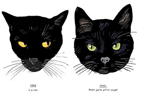 All Black Cats Are NOT Alike! Two Black Cats, All Black Cat, Black Cat Face, Cat Art Illustration, Black Cat Art, Celestial Art, The Alpha, Like A Cat, Cat Quotes