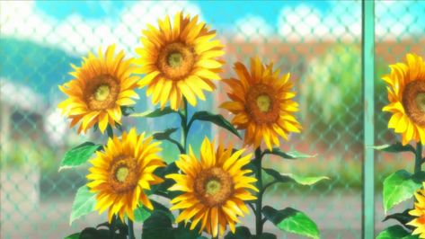 anime wallpapers backgrounds desktop #anime #scenery #pupu Anime Sunflower, The Tunnel To Summer, Anime Wallpapers Backgrounds, Soft Pastels Drawing, The Exit, Sunflower Wallpaper, Backgrounds Desktop, Anime Wallpapers, Wallpapers Backgrounds