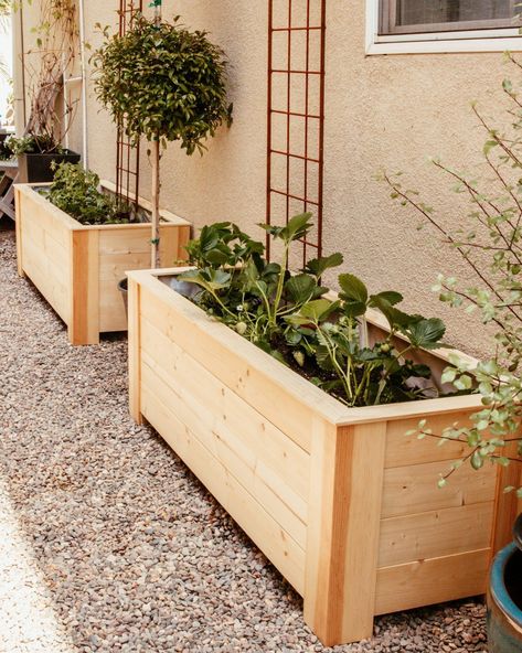 The Perfect Guide to Sustainable Gardening - Anita Yokota Diy Garden Boxes, Backyard Planter, New Bedroom Ideas, Garden Falls, Entryway Table Ideas, Garden Boxes Diy, Sustainable Gardening, Victory Garden, Home Design Inspiration