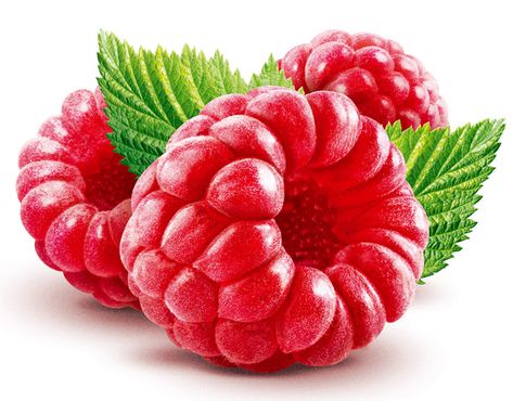 Raspberry food illustration and retouching Raspberry Drawing, Raspberry Illustration, Raspberry Food, Food Illustration Design, Fruit Animals, Cooking Book, Fruits Drawing, Recipe Journal, Raspberry Recipes