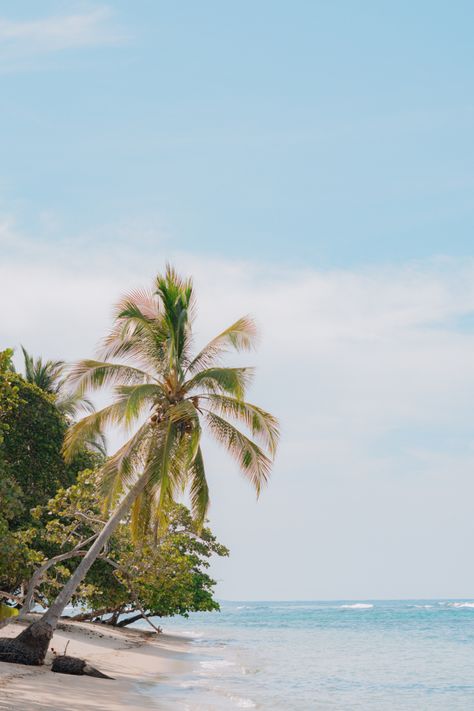 Panama Beaches #panama #panamabeach #panamabeaches #polobeach Panama Beach, Anna Claire, October 8, Snorkeling, Panama, Travel Photography, Walking, Holidays, Travel