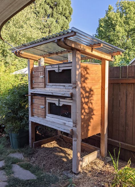 Quail Coop From Dresser, Diy Outdoor Quail Coop, Quail Cage With Egg Roll Out, Bobwhite Quail Coop, Pallet Quail Coop, Small Quail Coop, Diy Quail Aviary, Outdoor Quail Enclosure, Quail Coop Ideas Diy Outdoor