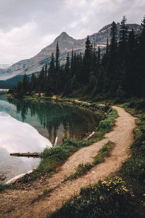 Forest And Lake Aesthetic, Forested Mountains, Uk Mountains, Lake With Mountains, Coastal Mountains, Mountains And Lake, Mountain Lake Landscape, Lake Landscape Photography, Lake District Mountains