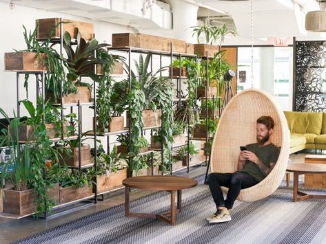 Everything You Need to Know About Biophilic Design in 5 Minutes Zimmer Diy, Plant Installation, Cool Office Space, Green Office, Office Space Design, Biophilic Design, Office Plants, Cool Office, Green Interiors