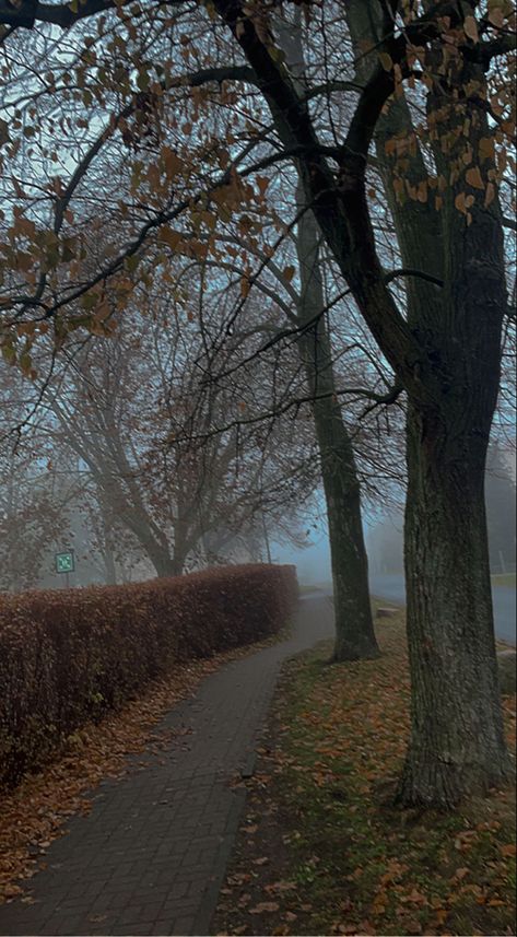 Dreary Fall Aesthetic, Cold Autumn Aesthetic, Moody Autumn Aesthetic, Foggy Autumn Aesthetic, 80s Fall Aesthetic, 2006 Aesthetic, October Rain, Grey November, Fog Autumn