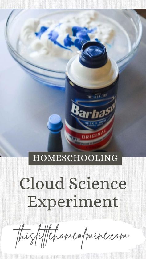 Types Of Clouds For Kids, Cloud Science Experiment, Cloud Experiment, Cloud Experiments, Cloud Science, Clouds For Kids, Types Of Clouds, Kids Sensory Activities, Cloud Type